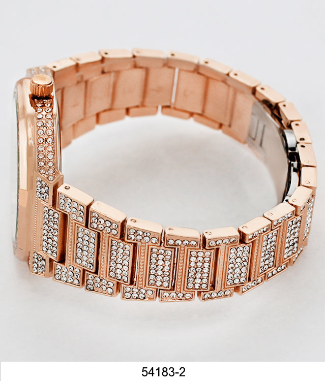 5418-Montres Carlo Iced Out Metal Band Watch