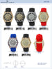 5226 - Silicon Band Watch