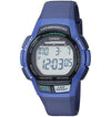 WS1000H-2A